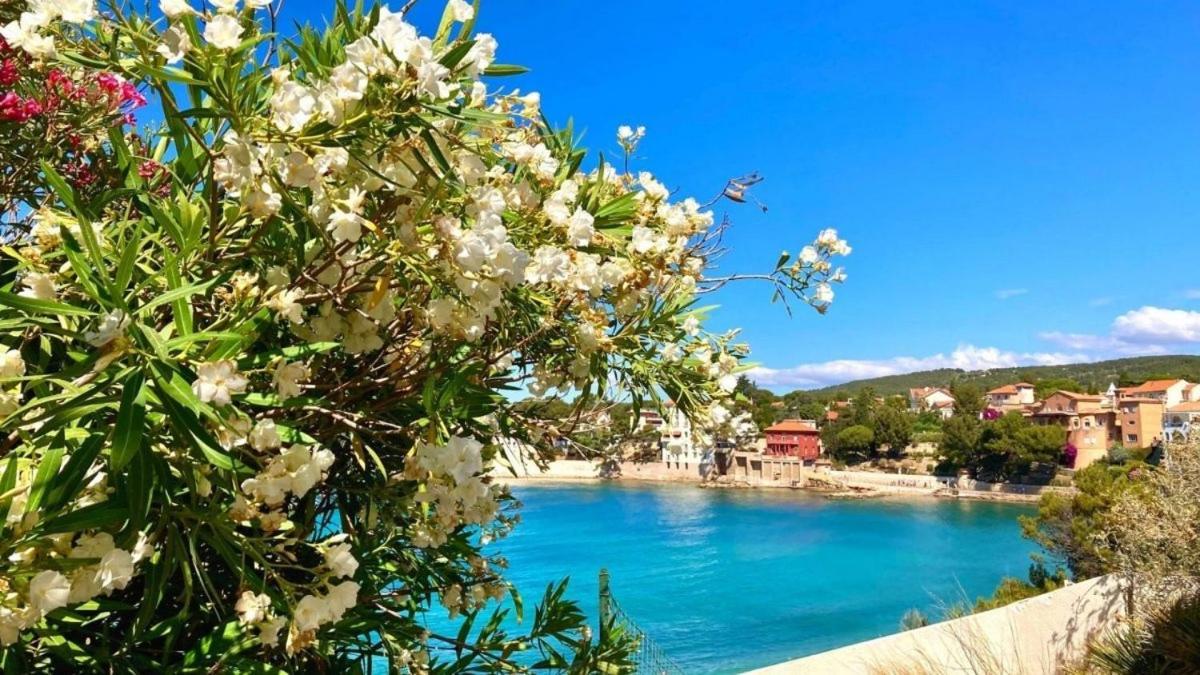 Superbe Appartement En Bord De Mer バンドール エクステリア 写真